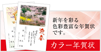 カラー年賀状